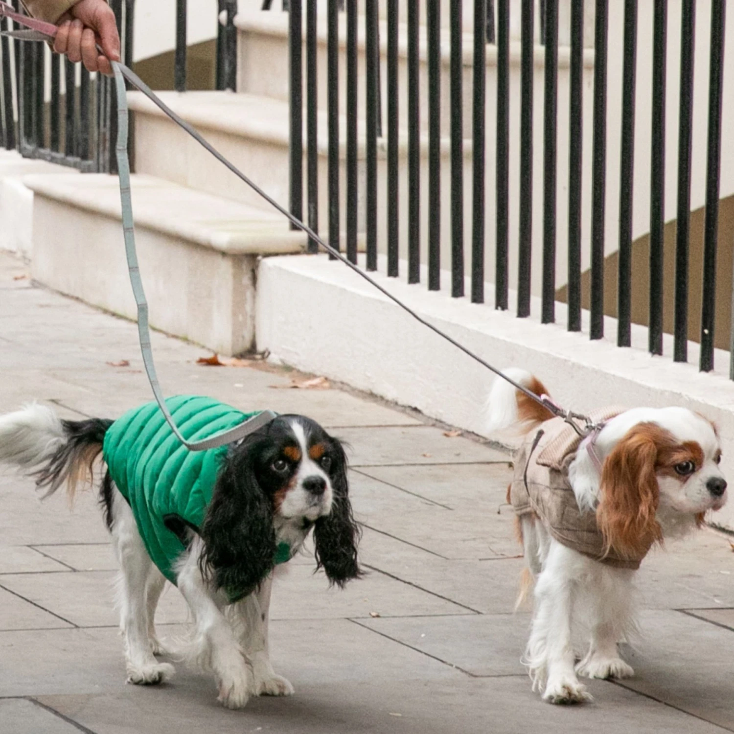 HUGO & HUDSON Checked Tweed Dog Leash 10 HUGO & HUDSON Checked Tweed Dog Leash - Image 8