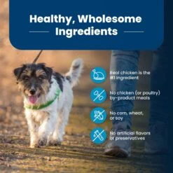 Blue Buffalo Life Protection Formula Small Bite Adult Chicken & Brown Rice Recipe Dry Dog Food -Blue Buffalo Shop 64682 PT5. AC SS1800 V1689355682