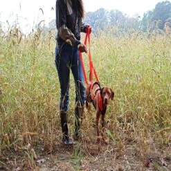 Water & Woods Dog Chest Protector -Blue Buffalo Shop 650486 PT4. AC SS1800 V1664986119