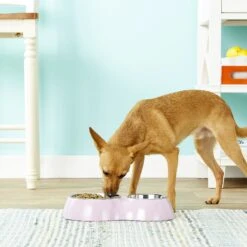 Dogit Double Diner Stainless Steel Dog Bowls 6 Dogit Double Diner Stainless Steel Dog Bowls -Blue Buffalo Shop 65635 PT1. AC SS1800 V1546270358