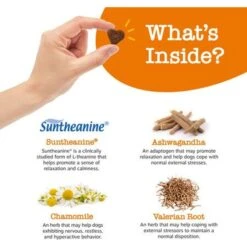 Zesty Paws Hemp Calming Bites Peanut Butter Flavored Soft Chews Composure & Relaxation Supplement For Dogs & KONG Floppy Knots Dog Toy, Fox -Blue Buffalo Shop 662822 PT2. AC SS1800 V1699554831