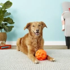 Omega Paw Tricky Treat Ball Dog Toy -Blue Buffalo Shop 66289 PT3. AC SS1800 V1530911427