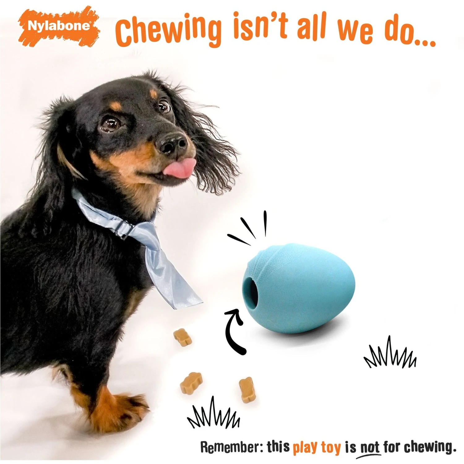 Nylabone Creative Play Eggi Dog Treat Toy, Blue, Large 5 Nylabone Creative Play Eggi Dog Treat Toy, Blue, Large - Image 3