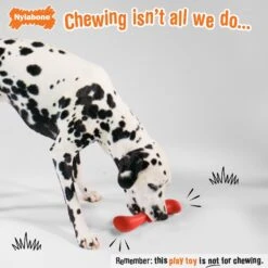 Nylabone Creative Play Stik-GO Interactive Dog Toy, Red -Blue Buffalo Shop 665702 PT2. AC SS1800 V1679081895