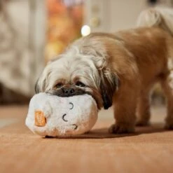 Frisco Halloween Trick Or Treat Ghost Plush Squeaky Dog Toy -Blue Buffalo Shop 667974 PT3. AC SS1800 V1689350978