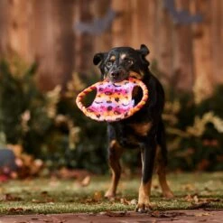 Frisco Halloween Ghost Swirl Fetch Flyer Dog Toy 8 Frisco Halloween Ghost Swirl Fetch Flyer Dog Toy -Blue Buffalo Shop 668294 PT3. AC SS1800 V1689278363