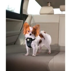 Kurgo Tru-Fit Smart Harness With Plastic Quick Release Buckles -Blue Buffalo Shop 66859 PT6. AC SS1800 V1483718469