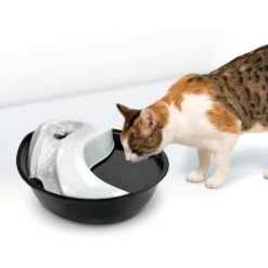 Pioneer Pet Plastic Dog & Cat Fountain Raindrop Design, 60-oz 11 Pioneer Pet Plastic Dog & Cat Fountain Raindrop Design, 60-oz -Blue Buffalo Shop 66968 PT2. AC SS1800 V1598655411