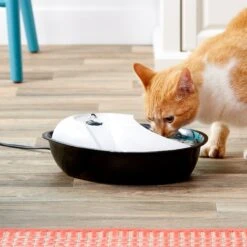 Pioneer Pet Plastic Dog & Cat Fountain Raindrop Design, 60-oz 12 Pioneer Pet Plastic Dog & Cat Fountain Raindrop Design, 60-oz -Blue Buffalo Shop 66968 PT3. AC SS1800 V1539379059