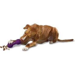 PetSafe Busy Buddy Chuckle Squeaky Treat Dispenser Dog Toy 11 PetSafe Busy Buddy Chuckle Squeaky Treat Dispenser Dog Toy -Blue Buffalo Shop 67197 PT2. AC SS1800 V1602314161