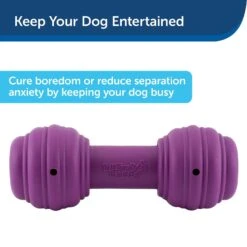 PetSafe Busy Buddy Chuckle Squeaky Treat Dispenser Dog Toy 12 PetSafe Busy Buddy Chuckle Squeaky Treat Dispenser Dog Toy -Blue Buffalo Shop 67197 PT3. AC SS1800 V1602303964