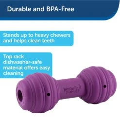 PetSafe Busy Buddy Chuckle Squeaky Treat Dispenser Dog Toy 13 PetSafe Busy Buddy Chuckle Squeaky Treat Dispenser Dog Toy -Blue Buffalo Shop 67197 PT4. AC SS1800 V1602286263