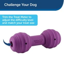 PetSafe Busy Buddy Chuckle Squeaky Treat Dispenser Dog Toy 14 PetSafe Busy Buddy Chuckle Squeaky Treat Dispenser Dog Toy -Blue Buffalo Shop 67197 PT6. AC SS1800 V1602292561
