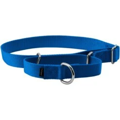 PetSafe Nylon Martingale Dog Collar