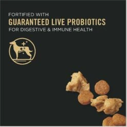 Purina Pro Plan Adult 7+ Shredded Blend Chicken & Rice Formula Dry Dog Food -Blue Buffalo Shop 67527 PT2. AC SS1800 V1649219786