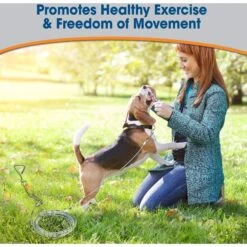 Four Paws Heavy Weight Tie Out Cable 11 Four Paws Heavy Weight Tie Out Cable -Blue Buffalo Shop 67691 PT2. AC SS1800 V1682709005