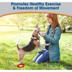 Four Paws Walk-About Spiral Tie-Out Stake -Blue Buffalo Shop 67715 PT5. AC SS1800 V1627350426