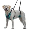 Walkin' Pets Walkin' Lift-n- Step Dog Harness, Aqua 2 Walkin' Pets Walkin' Lift-n- Step Dog Harness, Aqua -Blue Buffalo Shop 678702 MAIN. AC SS1800 V1667597331