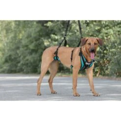 Blue Buffalo Shop -Blue Buffalo Shop 678702 PT1. AC SS1800 V1667597410