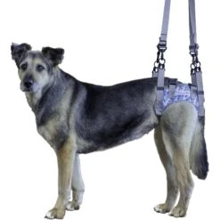 Walkin' Pets Walkin' Warrior Rear Dog Harness