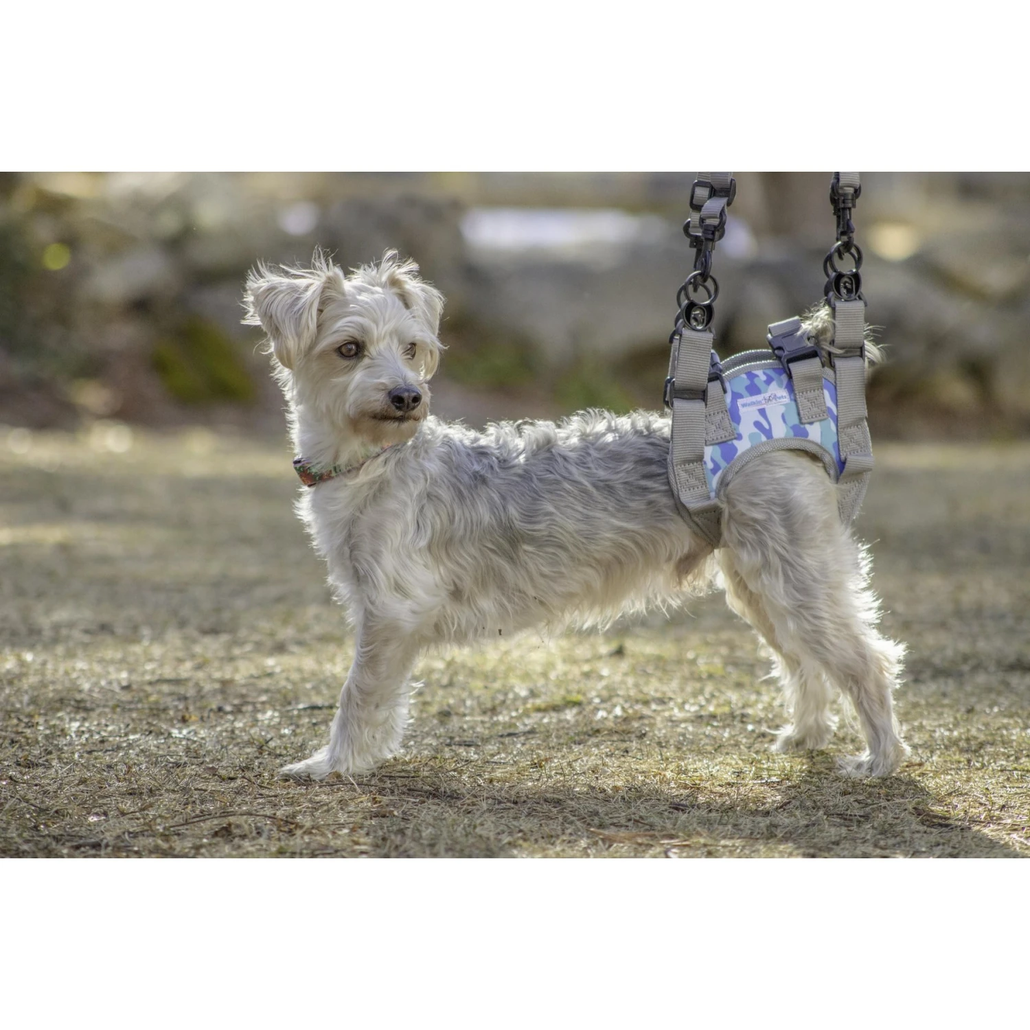 Walkin' Pets Walkin' Warrior Rear Dog Harness 5 Walkin' Pets Walkin' Warrior Rear Dog Harness - Image 3