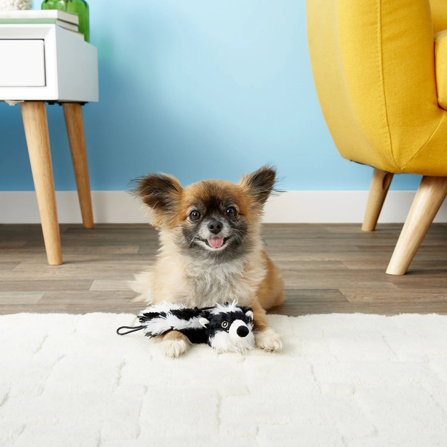 Multipet Bouncy Burrow Buddies Babies Squeaky Stuffing-Free Plush Puppy Toy, Character Varies 4 Multipet Bouncy Burrow Buddies Babies Squeaky Stuffing-Free Plush Puppy Toy, Character Varies - Image 2