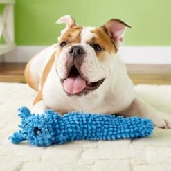 Multipet Loofa Floppy Light-Weight Squeaky Stuffing-Free Dog Toy 8 Multipet Loofa Floppy Light-Weight Squeaky Stuffing-Free Dog Toy -Blue Buffalo Shop 68076 PT2. AC SS1800 V1530544198