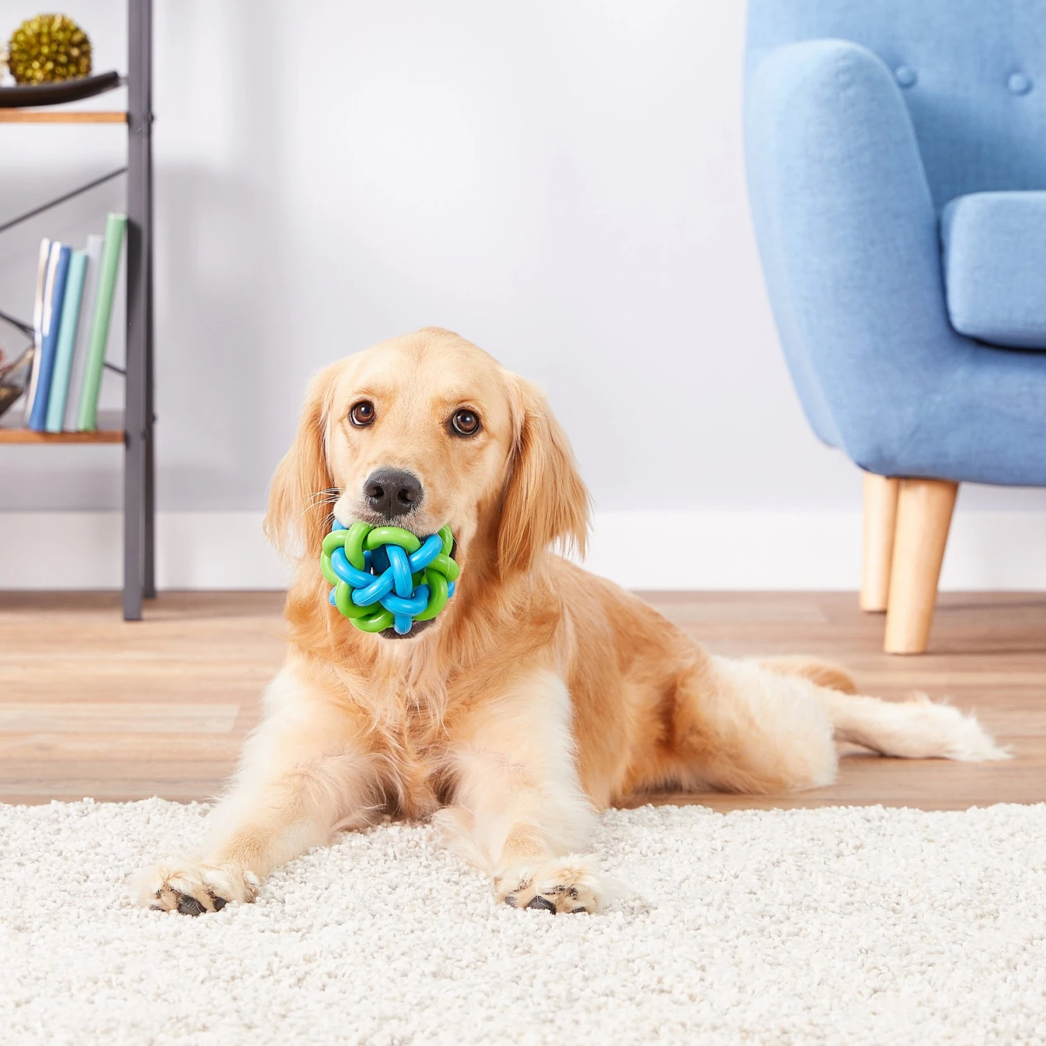 Multipet Nobbly Wobbly Ball Dog Toy, Color Varies 6 Multipet Nobbly Wobbly Ball Dog Toy, Color Varies - Image 4