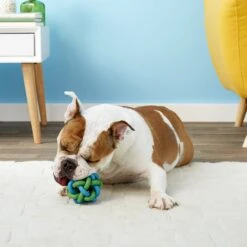 Multipet Nobbly Wobbly Ball Dog Toy, Color Varies 13 Multipet Nobbly Wobbly Ball Dog Toy, Color Varies -Blue Buffalo Shop 68138 PT4. AC SS1800 V1545172134