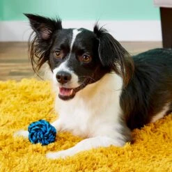 Multipet Nuts For Knots Ball Dog Toy, Color Varies 10 Multipet Nuts For Knots Ball Dog Toy, Color Varies -Blue Buffalo Shop 68144 PT3. AC SS1800 V1530911477