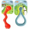 Nylabone Creative Play Tuug & Springa Interactive Dog Toy Bundle