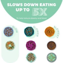 Outward Hound Fun Feeder Slo Tray Slow Feeder Dog Bowl -Blue Buffalo Shop 684958 PT2. AC SS1800 V1694440048