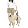 PetSafe CareLift Rear Handicapped Support Dog Harness 1 PetSafe CareLift Rear Handicapped Support Dog Harness -Blue Buffalo Shop 68835 MAIN. AC SS1800 V1622669258