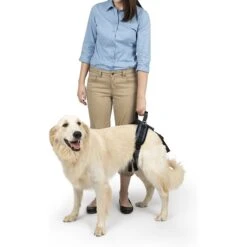 Blue Buffalo Shop -Blue Buffalo Shop 68835 PT1. AC SS1800 V1622670460