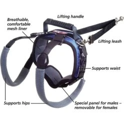 PetSafe CareLift Rear Handicapped Support Dog Harness -Blue Buffalo Shop 68835 PT3. AC SS1800 V1620011231