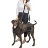 PetSafe CareLift Handicapped Support Dog Harness -Blue Buffalo Shop 68838 MAIN. AC SS1800 V1622668940