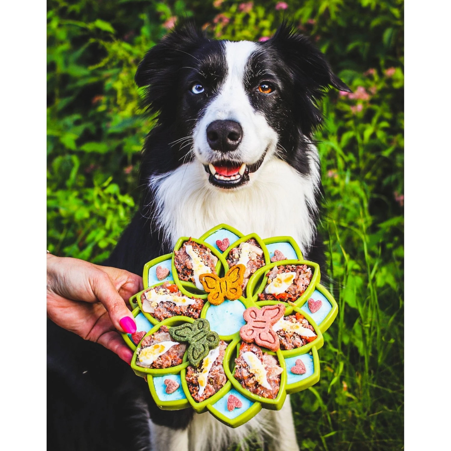 SodaPup Mandala Shallow Slow Dog Feeder, Large 4 SodaPup Mandala Shallow Slow Dog Feeder, Large - Image 2