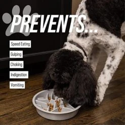 Leashboss Raised Pet Feeders Slow Feed Dog Bowl -Blue Buffalo Shop 695118 PT2. AC SS1800 V1669906553