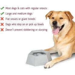 Leashboss Splashless Travel Dog Water Bowl, Gray, 40-oz Cup 12 Leashboss Splashless Travel Dog Water Bowl, Gray, 40-oz Cup -Blue Buffalo Shop 695166 PT2. AC SS1800 V1669906962