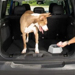 Leashboss Splashless Travel Dog Water Bowl, Gray, 40-oz Cup 15 Leashboss Splashless Travel Dog Water Bowl, Gray, 40-oz Cup -Blue Buffalo Shop 695166 PT5. AC SS1800 V1669906896