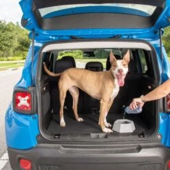 Leashboss Splashless Travel Dog Water Bowl, Gray, 40-oz Cup 16 Leashboss Splashless Travel Dog Water Bowl, Gray, 40-oz Cup -Blue Buffalo Shop 695166 PT6. AC SS1800 V1669907360