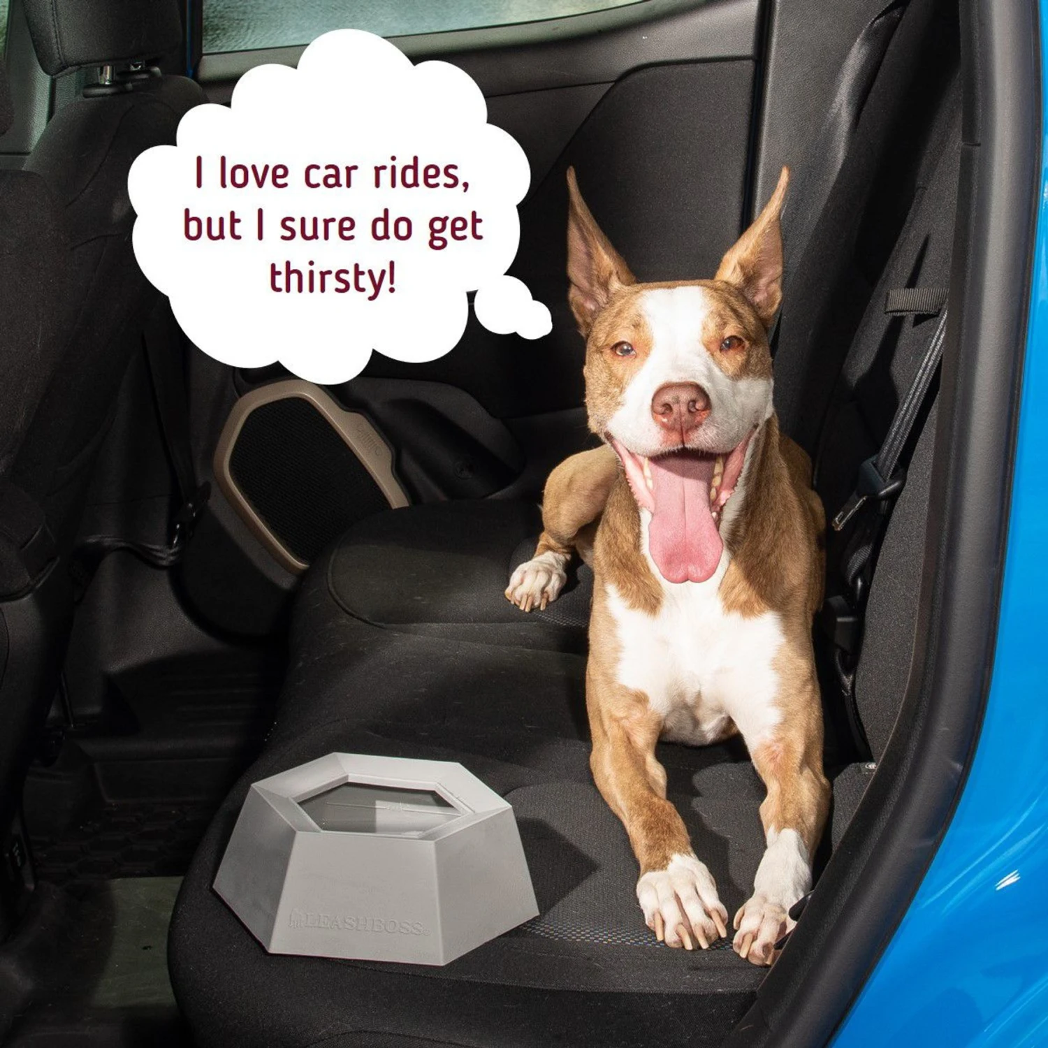 Leashboss Splashless Travel Dog Water Bowl, Gray, 40-oz Cup 10 Leashboss Splashless Travel Dog Water Bowl, Gray, 40-oz Cup - Image 8