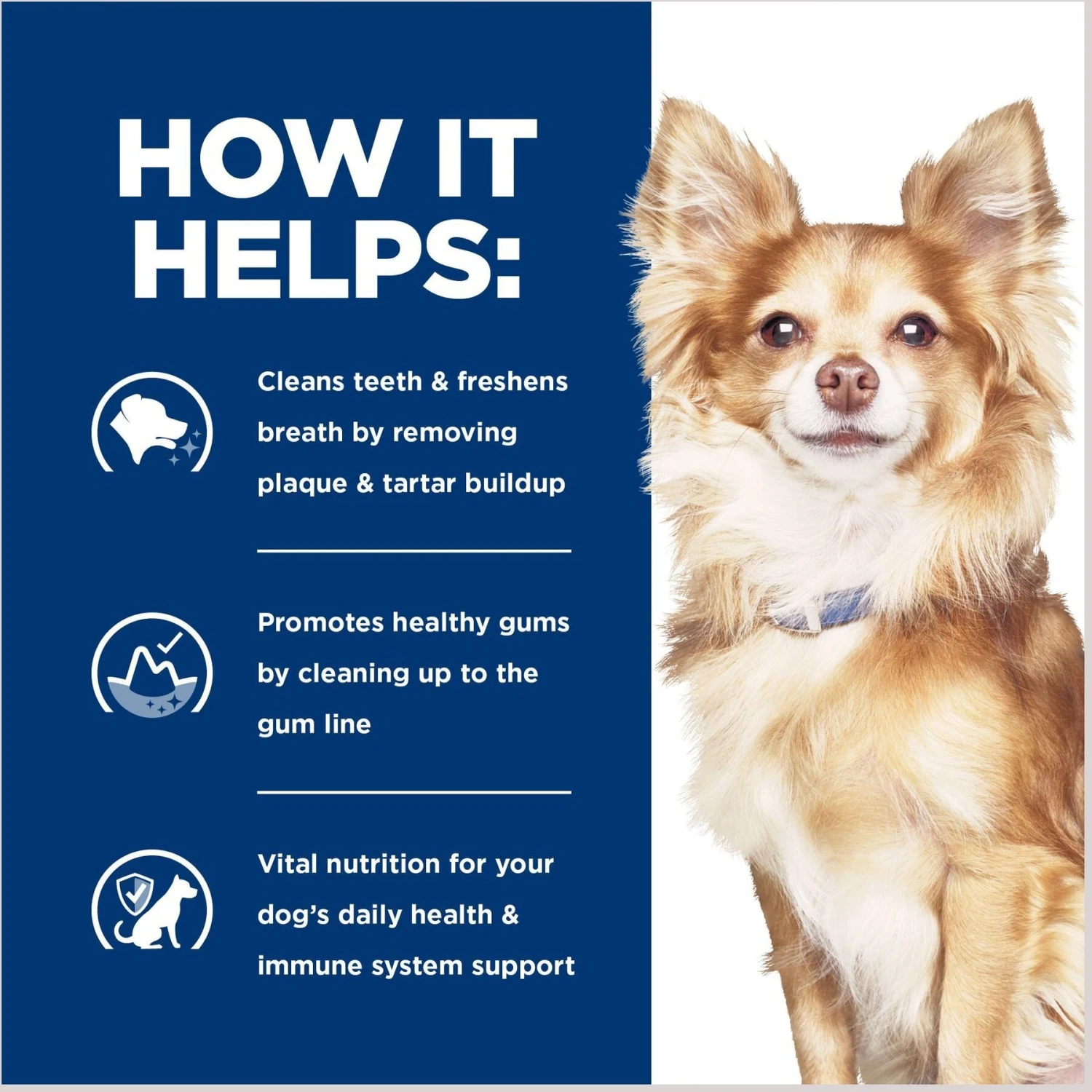 Hill's Prescription Diet T/d Dental Care Small Bites Chicken Flavor Dry Dog Food 7 Hill's Prescription Diet T/d Dental Care Small Bites Chicken Flavor Dry Dog Food - Image 5