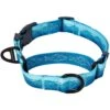 Leashboss Patterned Fabric Martingale Dog Collar