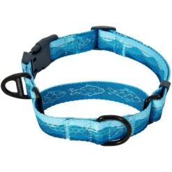 Leashboss Patterned Fabric Martingale Dog Collar