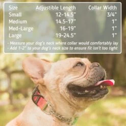 Leashboss Chain Martingale Dog Collar -Blue Buffalo Shop 698742 PT2. AC SS1800 V1669930636