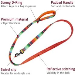 Leashboss Patterned Standard Dog Leash, 6-ft Long -Blue Buffalo Shop 698934 PT1. AC SS1800 V1669944495