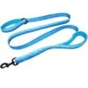 Leashboss Two Handle Dog Leash, 6-ft Long -Blue Buffalo Shop 698990 MAIN. AC SS1800 V1669930578