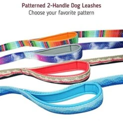Leashboss Two Handle Dog Leash, 6-ft Long -Blue Buffalo Shop 698990 PT3. AC SS1800 V1669946391