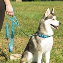 Leashboss Two Handle Dog Leash, 6-ft Long -Blue Buffalo Shop 698990 PT5. AC SS1800 V1669946122